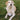 A light-colored dog lies on a patch of grass, with a round plush Zebra Cake dog toy—white fabric spiraled with brown stripes—positioned between its front paws. The dog looks alertly toward the camera.
