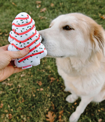 A light-colored dog sniffs a plush, tree-shaped Christmas Tree Cake dog toy decorated with red swirls and green sprinkles. A person’s hand holds the white festive dog toy outdoors on grass scattered with autumn leaves.