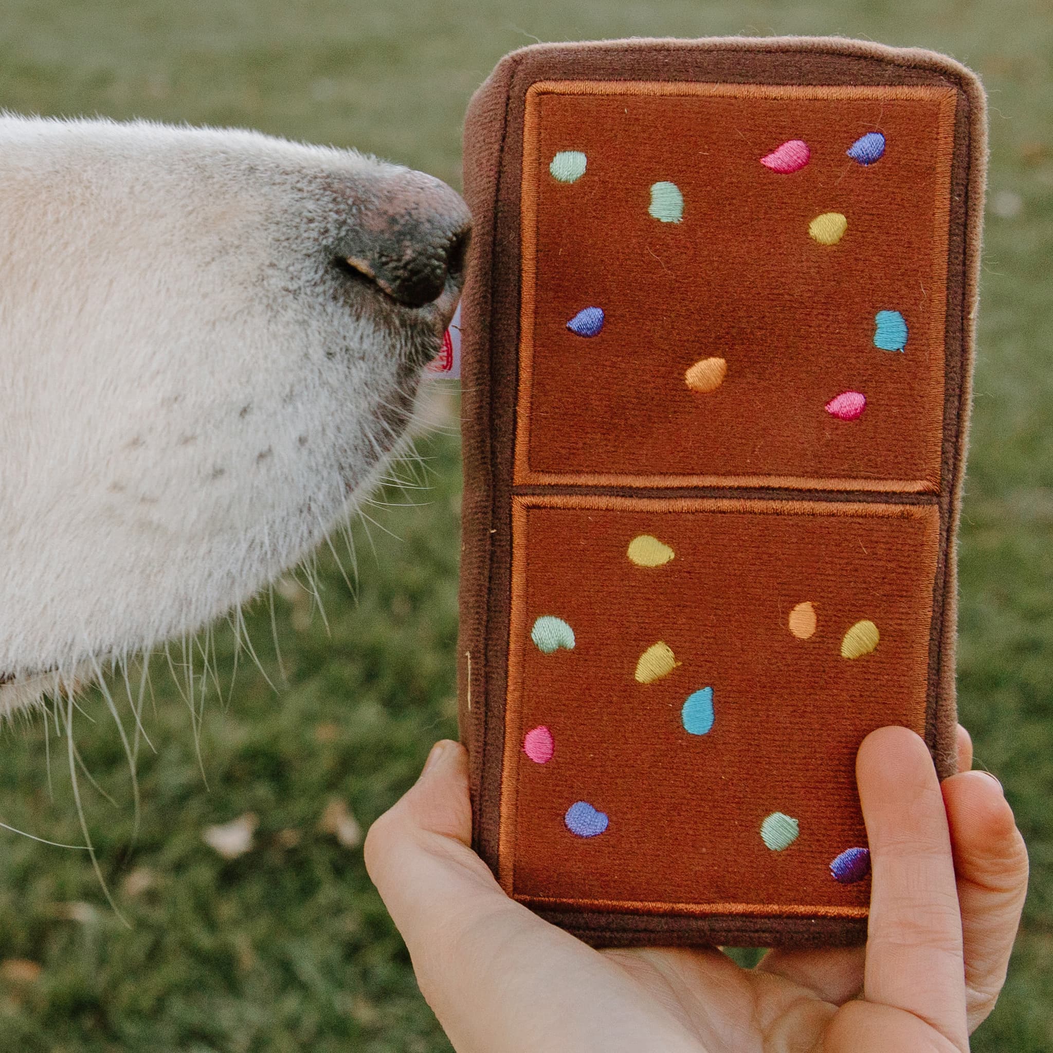 Close-up of a light-colored dog’s nose sniffing a plush toy shaped like a Cosmic Brownie, complete with embroidered rainbow “sprinkles.” A person’s hand is holding the rectangular brown dog toy, and the scene takes place outdoors on green grass.