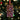 A Little Debbie®  Cosmic® Brownie Ornament hanging on a Christmas tree, featuring a realistic brownie design with colorful candy pieces and a red ribbon for hanging. Warm holiday lights softly blur in the background.